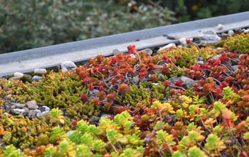 the cost of Heybridge Basin green roof installation