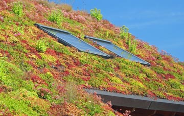 Heybridge Basin living roof systems